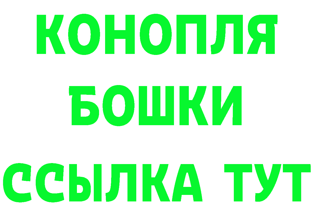 ГАШ Premium как зайти это hydra Белинский